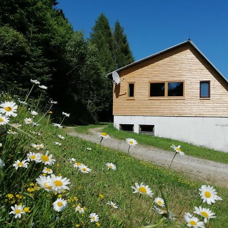 Almhutte Grosserhutte Sankt Wolfgang Zewnętrze zdjęcie