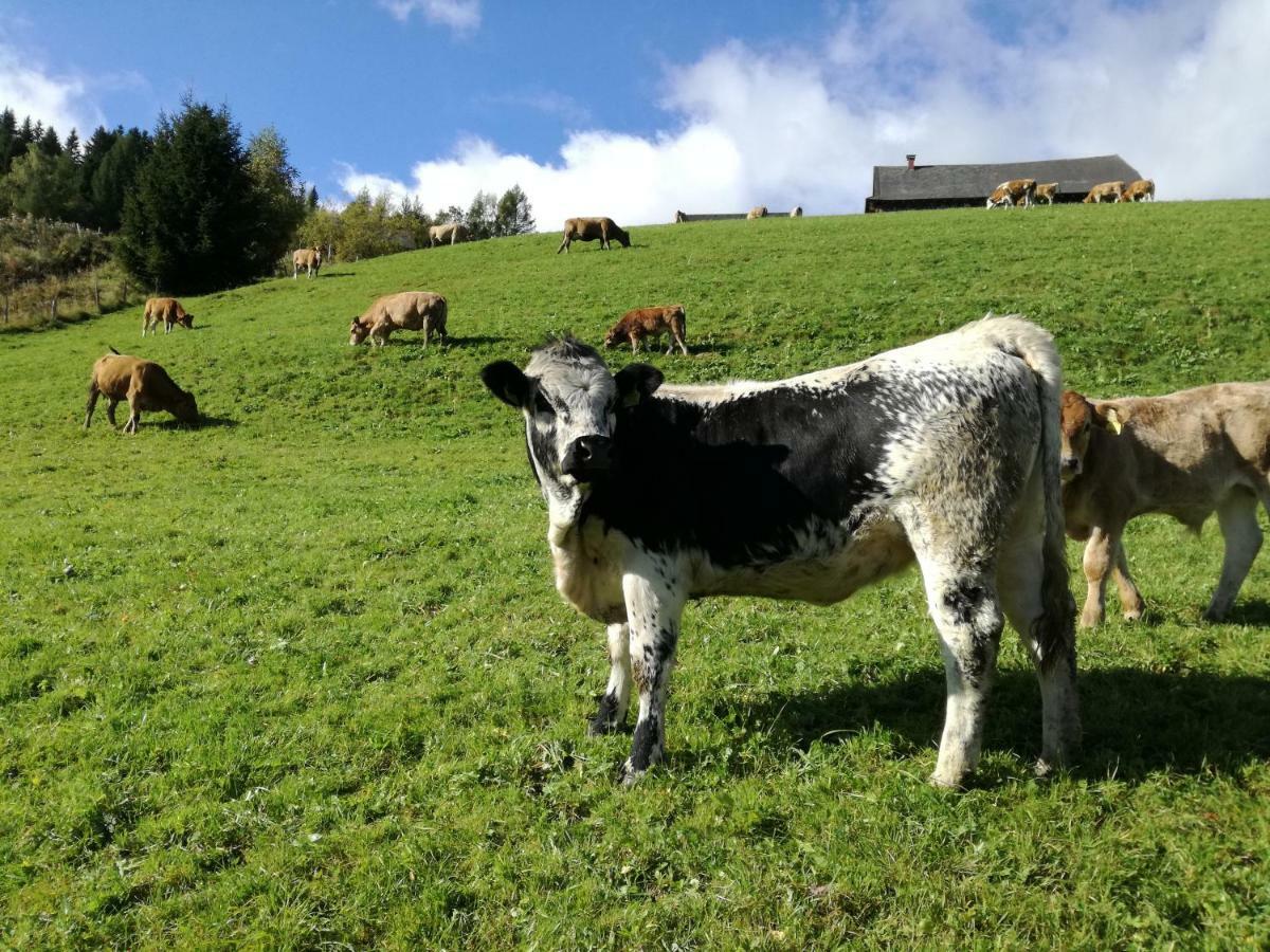 Almhutte Grosserhutte Sankt Wolfgang Zewnętrze zdjęcie